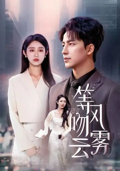 锦绣安宁 电视剧 2024 麦贯之
